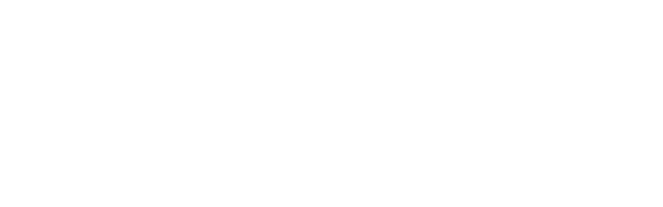 logo Alter-Nativ